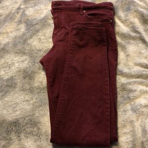 Maroon pants
